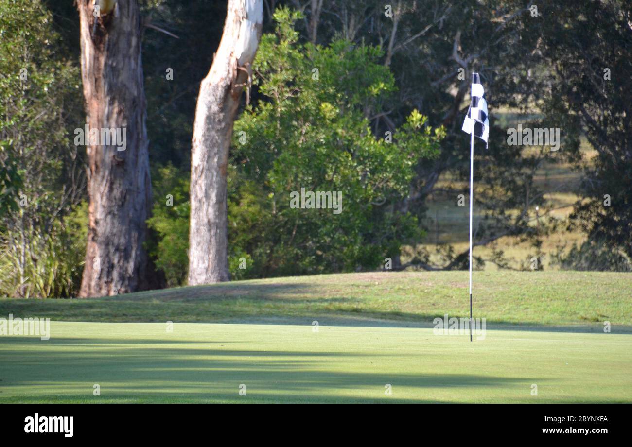 Bandiera da golf a scacchi in bianco e nero su un verde soleggiato con corteccia di carta ai margini di Noosa, Queensland Australia Foto Stock