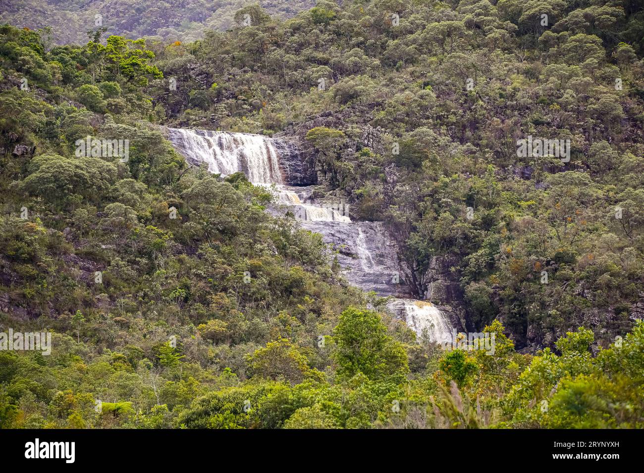 Piccola cascata a cascata nella fitta foresta pluviale, parco naturale di Caraca, Minas Gerais, Brasile Foto Stock