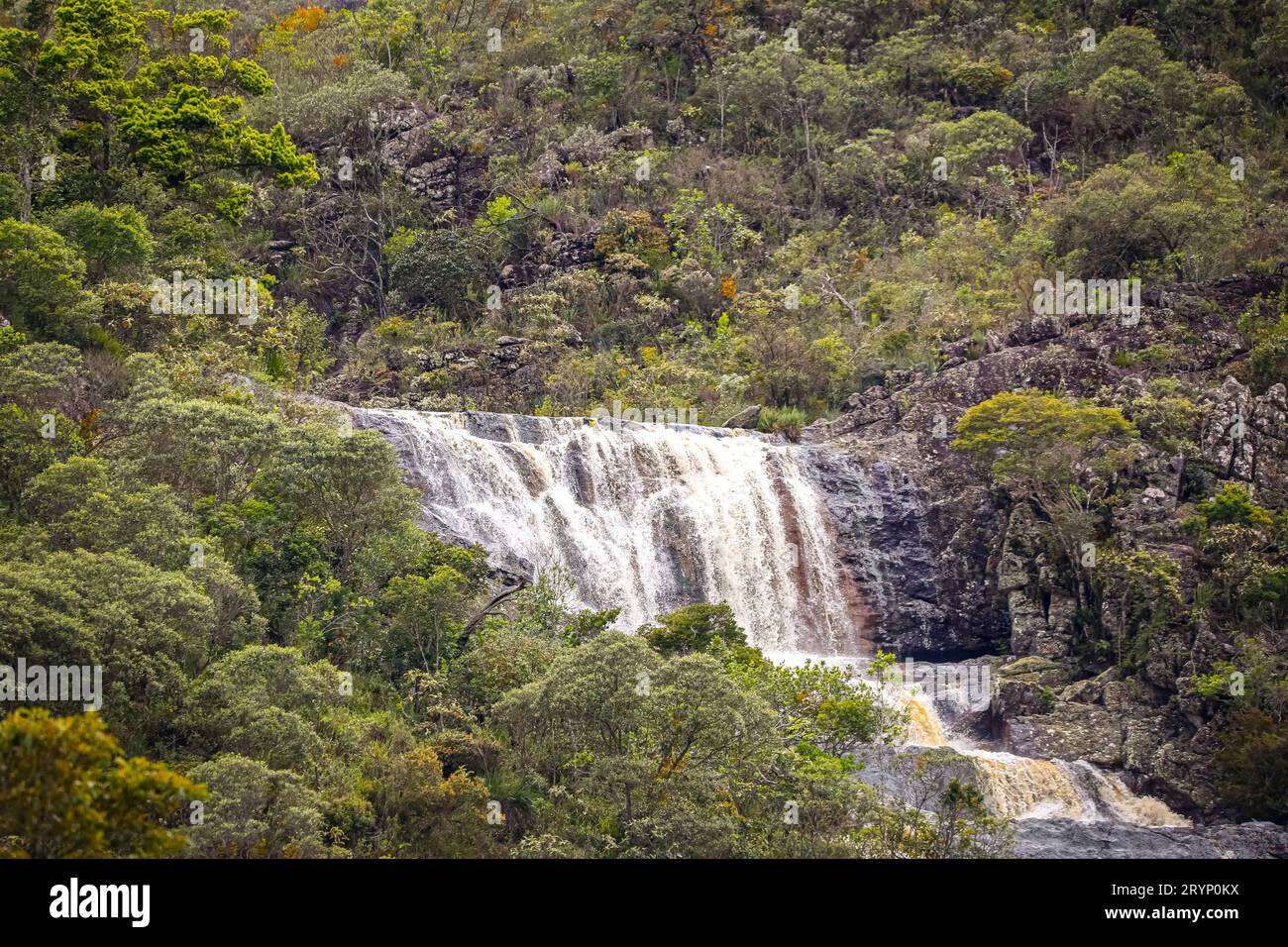 Piccola cascata a cascata nella fitta foresta pluviale, parco naturale di Caraca, Minas Gerais, Brasile Foto Stock