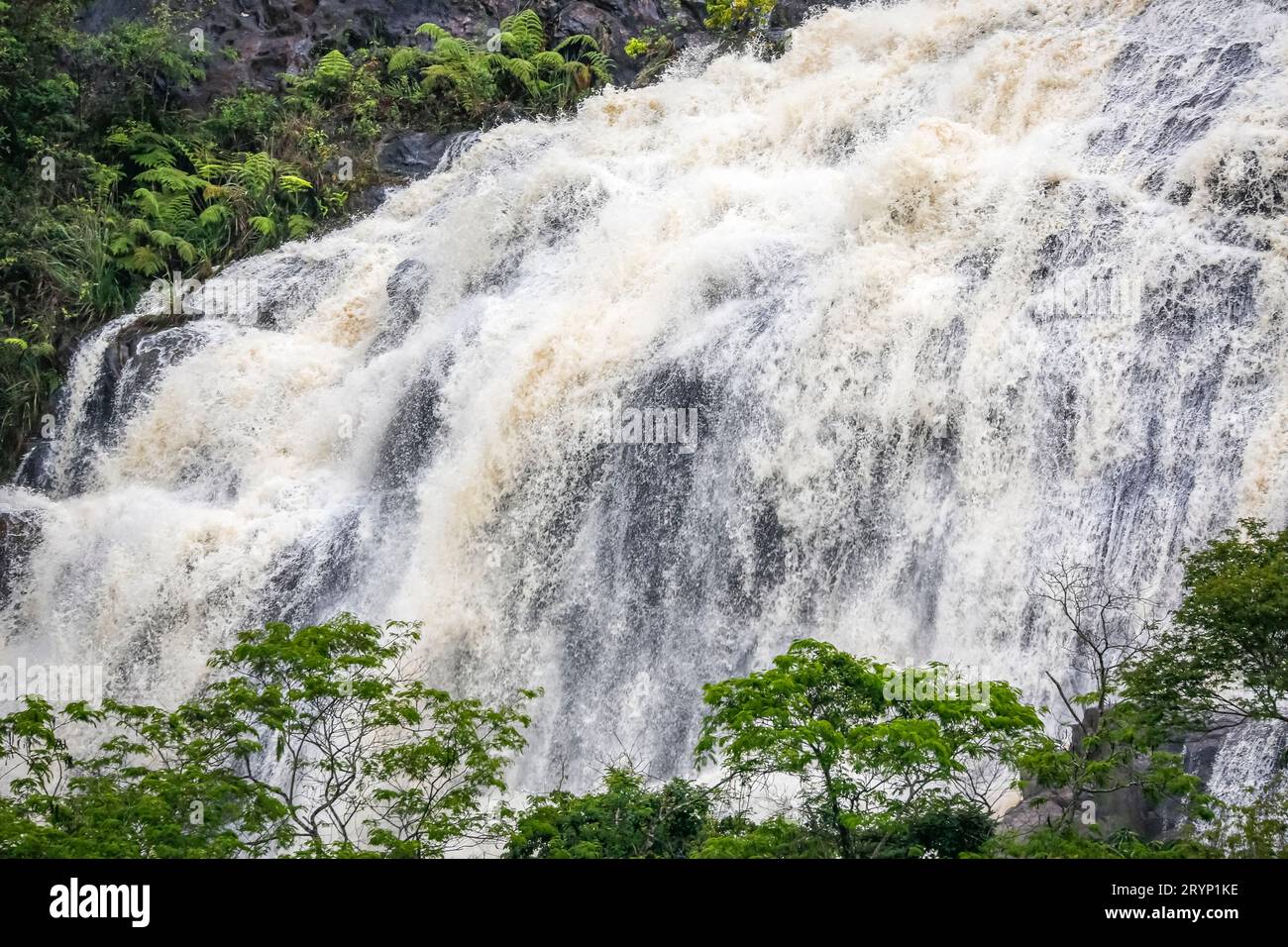 Primo piano di una cascata all'interno di una fitta foresta pluviale, parco naturale di Caraca, Minas Gerais, Brasile Foto Stock
