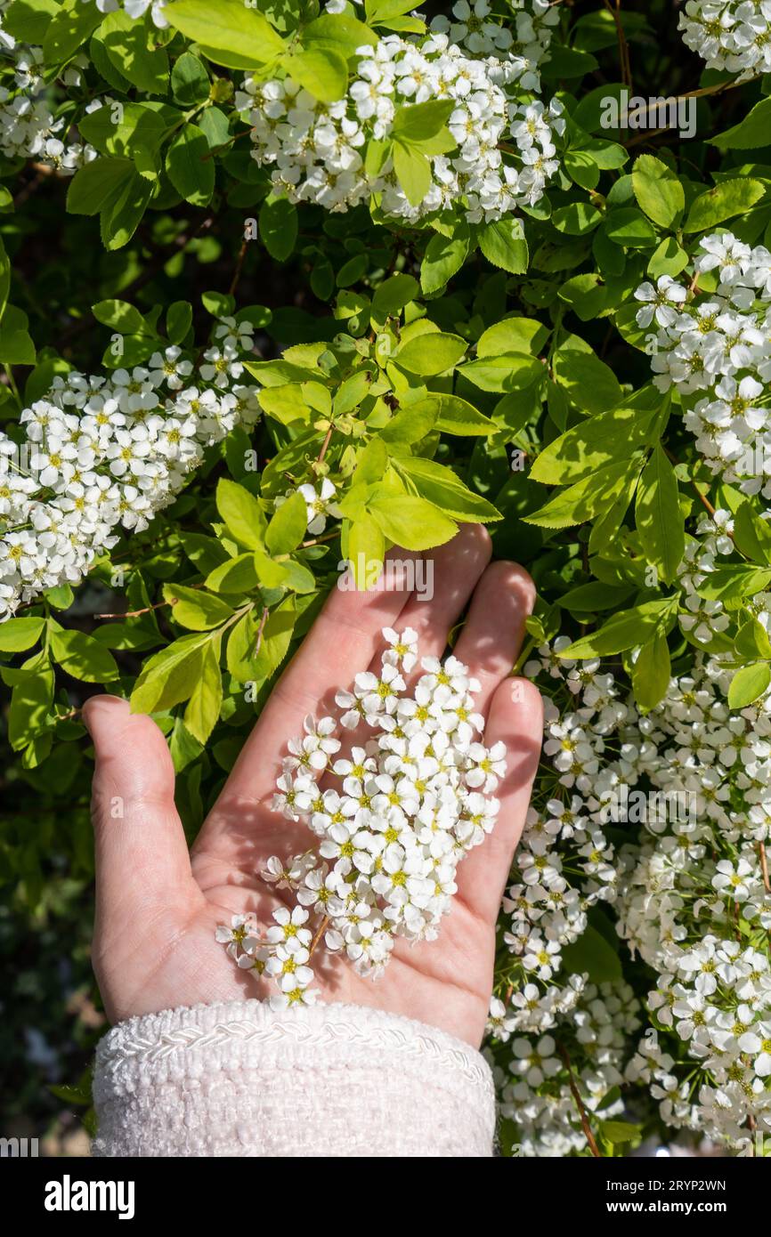 Donna con fiori di corona nuziale Foto Stock