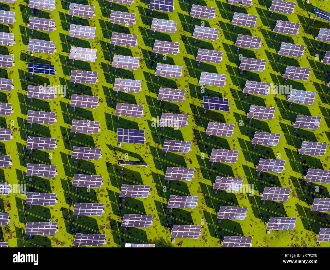 HUAI'AN, CINA - 1° OTTOBRE 2023 - foto aerea scattata il 1° ottobre 2023 mostra il progetto fotovoltaico "fish-light complementare" che può essere realizzato automaticamente Foto Stock HUAI'AN, CINA - 1° OTTOBRE 2023 - foto aerea scattata il 1° ottobre 2023 mostra il progetto fotovoltaico "fish-light complementare" che può essere realizzato automaticamente Foto Stock