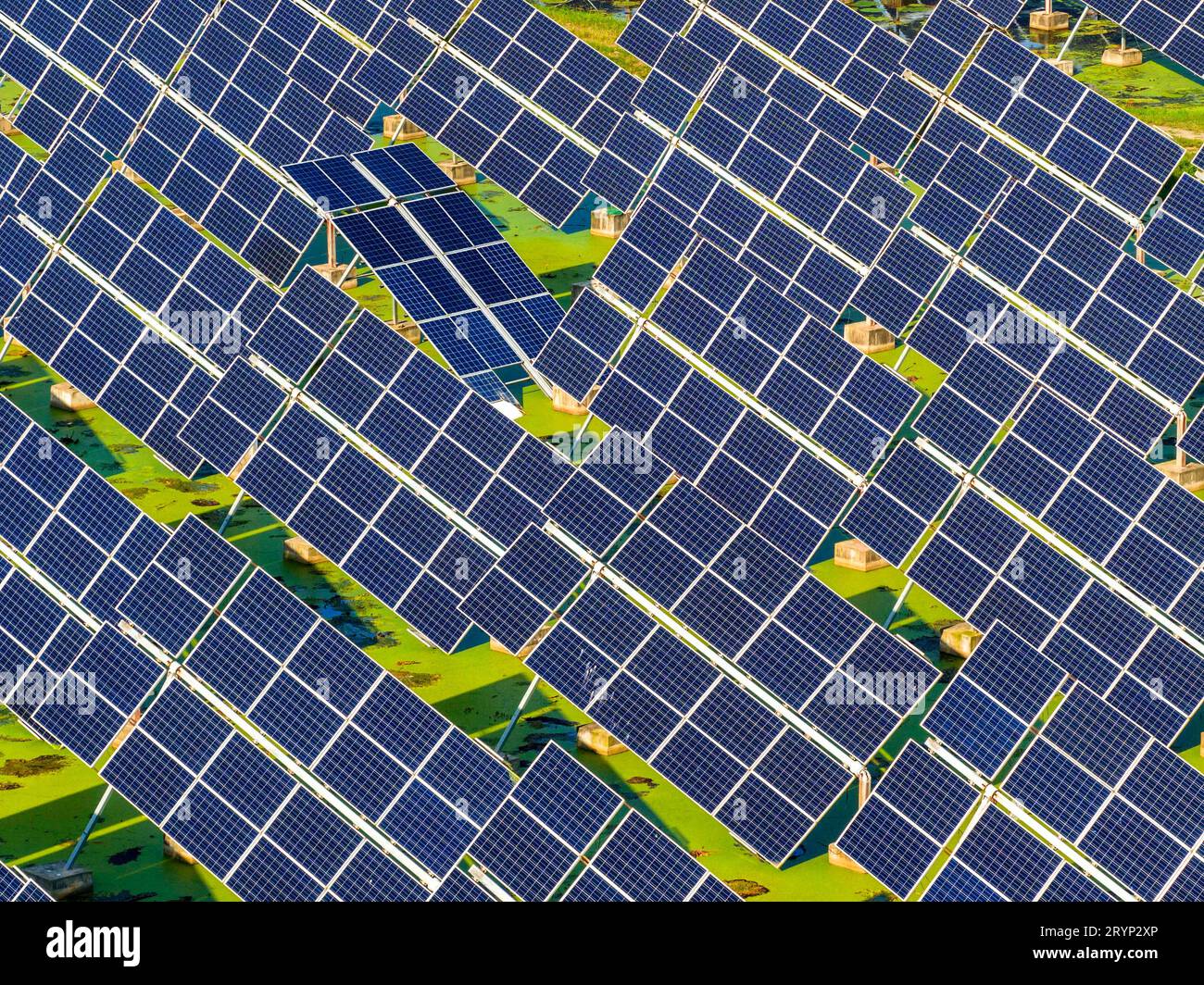 HUAI'AN, CINA - 1° OTTOBRE 2023 - foto aerea scattata il 1° ottobre 2023 mostra il progetto fotovoltaico "fish-light complementare" che può essere realizzato automaticamente Foto Stock HUAI'AN, CINA - 1° OTTOBRE 2023 - foto aerea scattata il 1° ottobre 2023 mostra il progetto fotovoltaico "fish-light complementare" che può essere realizzato automaticamente Foto Stock