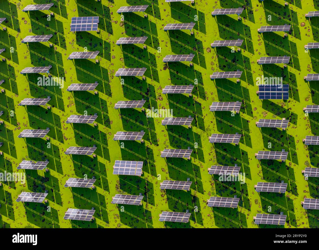 HUAI'AN, CINA - 1° OTTOBRE 2023 - foto aerea scattata il 1° ottobre 2023 mostra il progetto fotovoltaico "fish-light complementare" che può essere realizzato automaticamente Foto Stock HUAI'AN, CINA - 1° OTTOBRE 2023 - foto aerea scattata il 1° ottobre 2023 mostra il progetto fotovoltaico "fish-light complementare" che può essere realizzato automaticamente Foto Stock