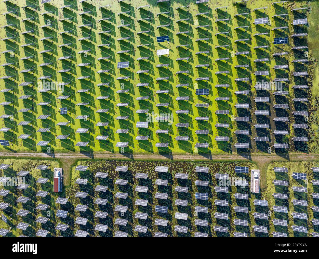 HUAI'AN, CINA - 1° OTTOBRE 2023 - foto aerea scattata il 1° ottobre 2023 mostra il progetto fotovoltaico "fish-light complementare" che può essere realizzato automaticamente Foto Stock HUAI'AN, CINA - 1° OTTOBRE 2023 - foto aerea scattata il 1° ottobre 2023 mostra il progetto fotovoltaico "fish-light complementare" che può essere realizzato automaticamente Foto Stock