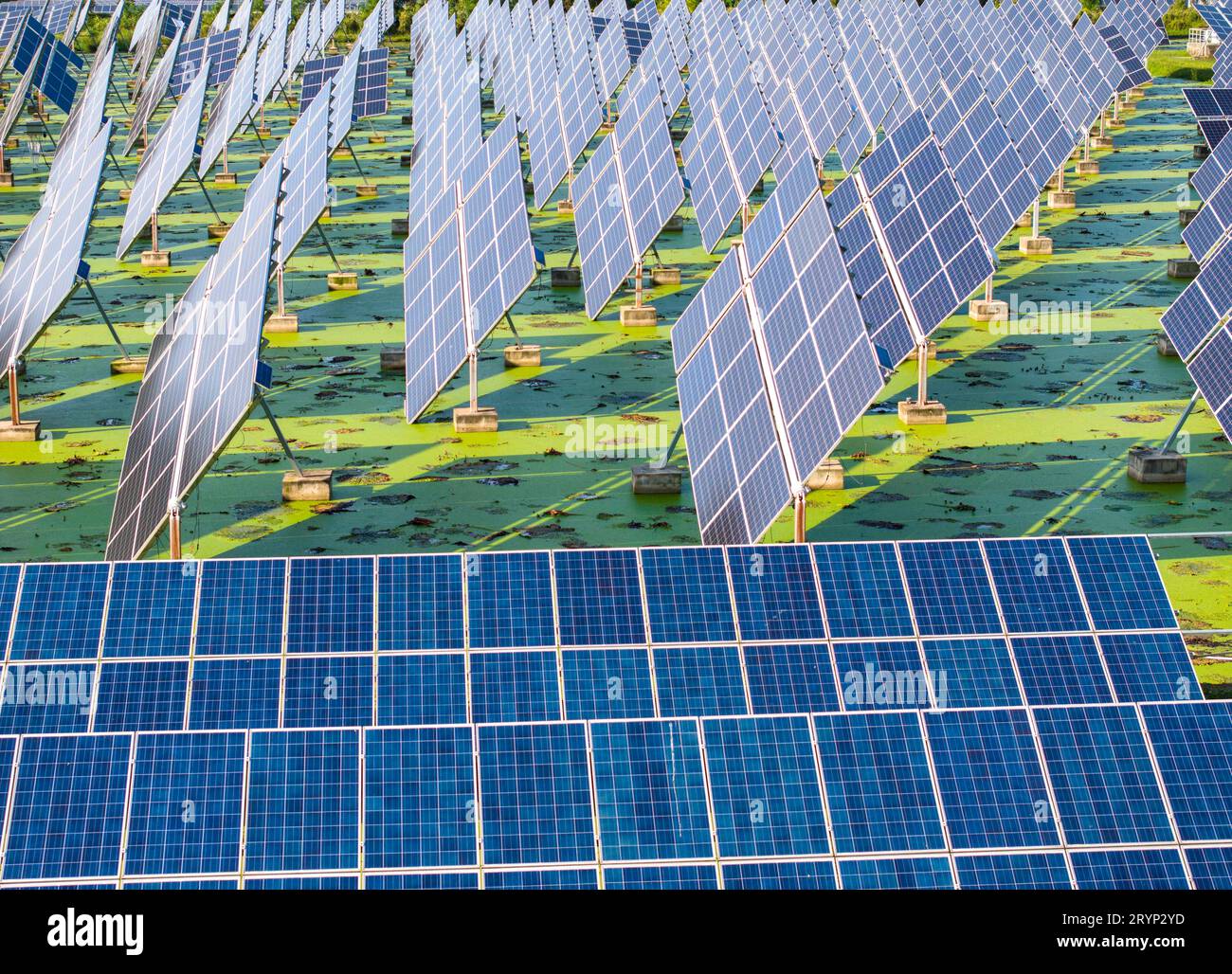 HUAI'AN, CINA - 1° OTTOBRE 2023 - foto aerea scattata il 1° ottobre 2023 mostra il progetto fotovoltaico "fish-light complementare" che può essere realizzato automaticamente Foto Stock HUAI'AN, CINA - 1° OTTOBRE 2023 - foto aerea scattata il 1° ottobre 2023 mostra il progetto fotovoltaico "fish-light complementare" che può essere realizzato automaticamente Foto Stock