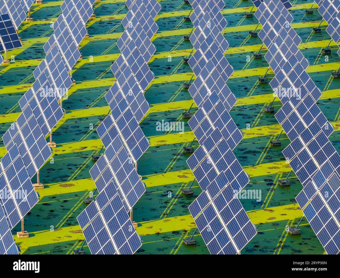 HUAI'AN, CINA - 1° OTTOBRE 2023 - foto aerea scattata il 1° ottobre 2023 mostra il progetto fotovoltaico "fish-light complementare" che può essere realizzato automaticamente Foto Stock HUAI'AN, CINA - 1° OTTOBRE 2023 - foto aerea scattata il 1° ottobre 2023 mostra il progetto fotovoltaico "fish-light complementare" che può essere realizzato automaticamente Foto Stock