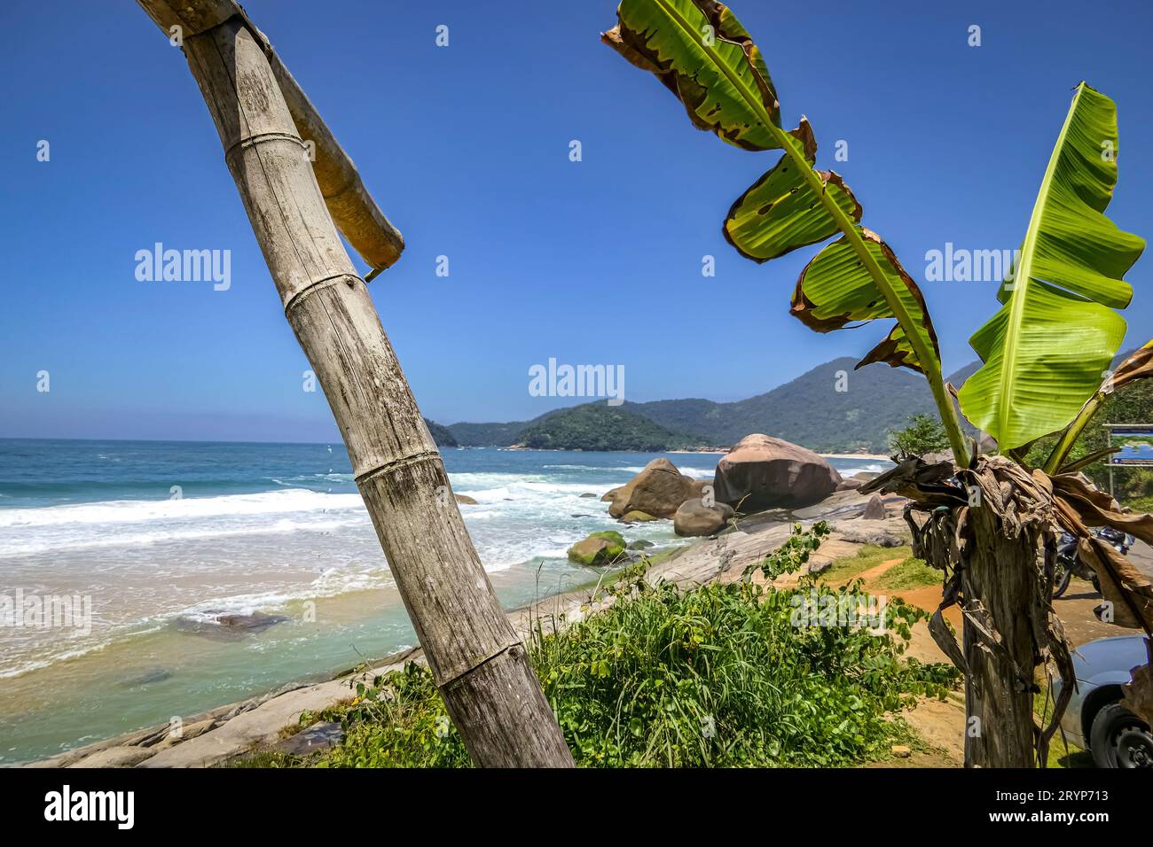 Ammira la splendida costa con la spiaggia e le piante di lastre di roccia in primo piano, Picinguaba, Brasile Foto Stock