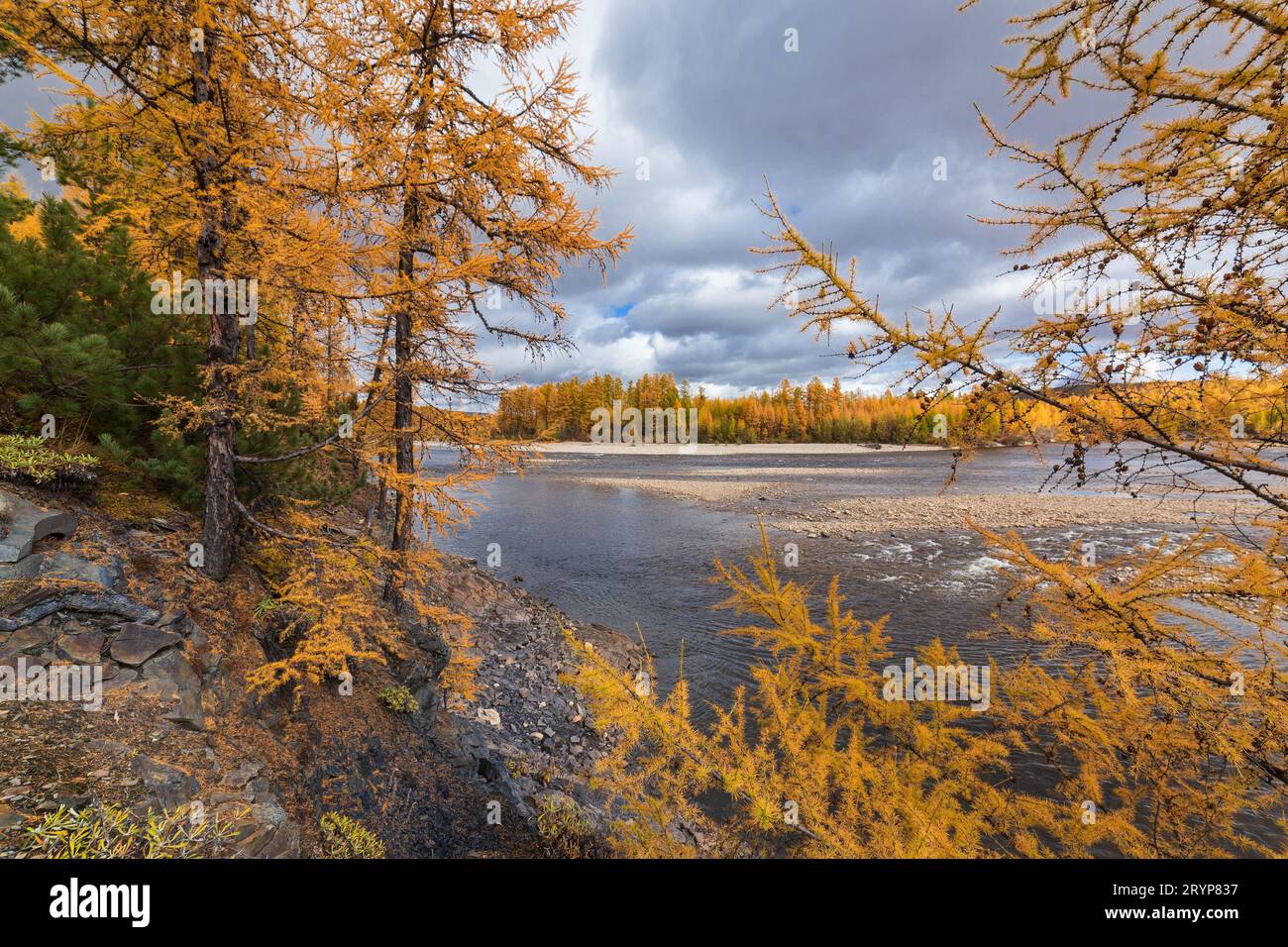 Paesaggio autunnale sul fiume Chulman nella Yakutia meridionale, Russia. Foto Stock