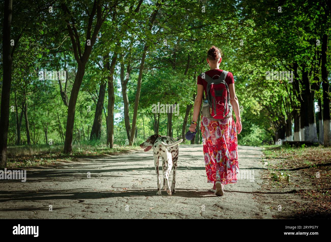 Cammina con un cucciolo una giovane donna in una gonna colorata e una t-shirt Bordeaux è accompagnata da una brillante giornata estiva di cane dalmata al guinzaglio in pennsylvania Foto Stock