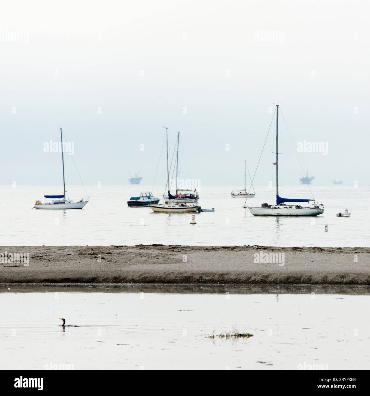 Barche a vela al mattino presto, Santa Barbara Harbor, Santa Barbara, California. Foto Stock