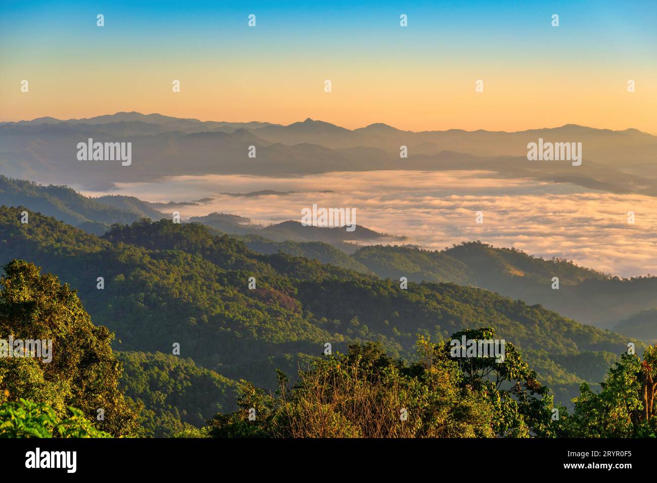 Foresta tropicale paesaggio natura vista con montagna gamma alba con nebbia nube in movimento a Huai Nam Foto Stock