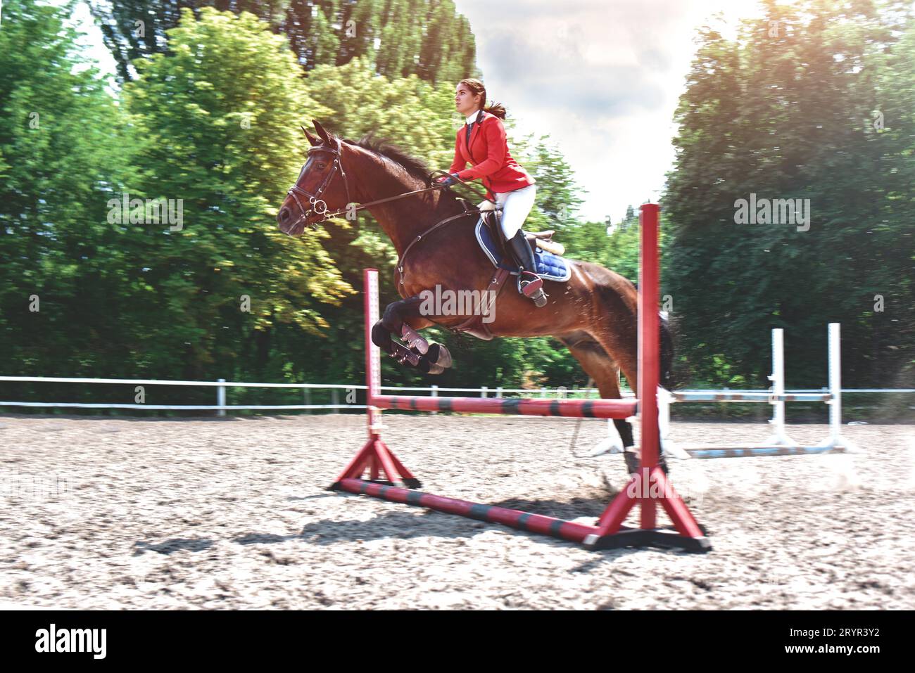 Giovane femmina jockey su cavallo che salgono su hurdle. Equestrian Foto Stock