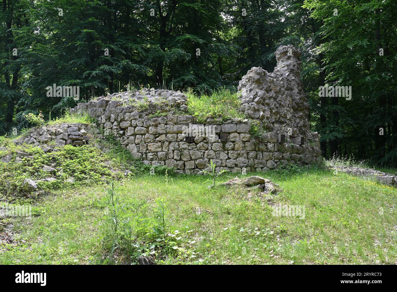 Castello Ruin Ried a Riederberg, Austria Foto Stock