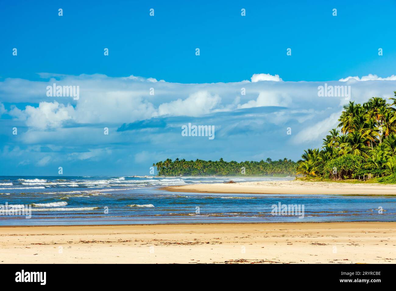 Spiaggia di Sargi circondata da palme da cocco e vegetazione autoctona Foto Stock