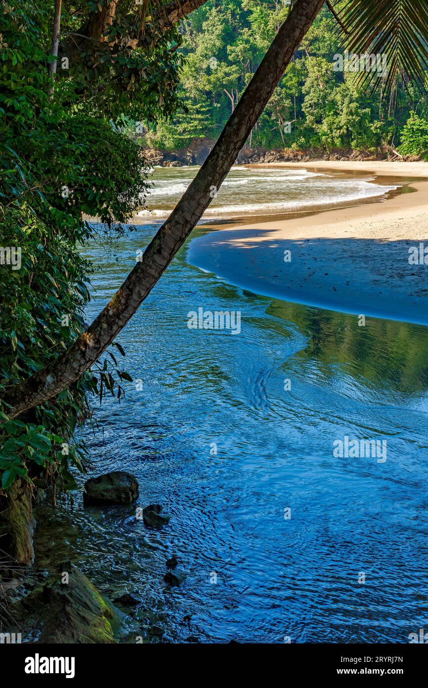 Il fiume scorre verso il mare attraverso la foresta pluviale sulla spiaggia Foto Stock