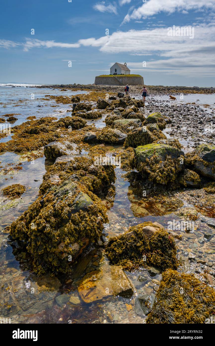 La Chiesa di S.. Cwyfan, Porth Cwyfan, Aberffraw, Isola di Anglesey Foto Stock