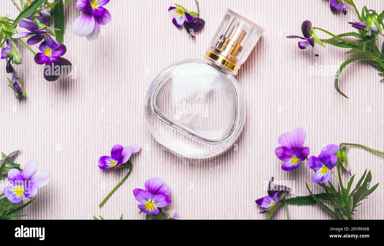 Bottiglia di profumo da donna e fiori di viola su sfondo rosa Foto Stock