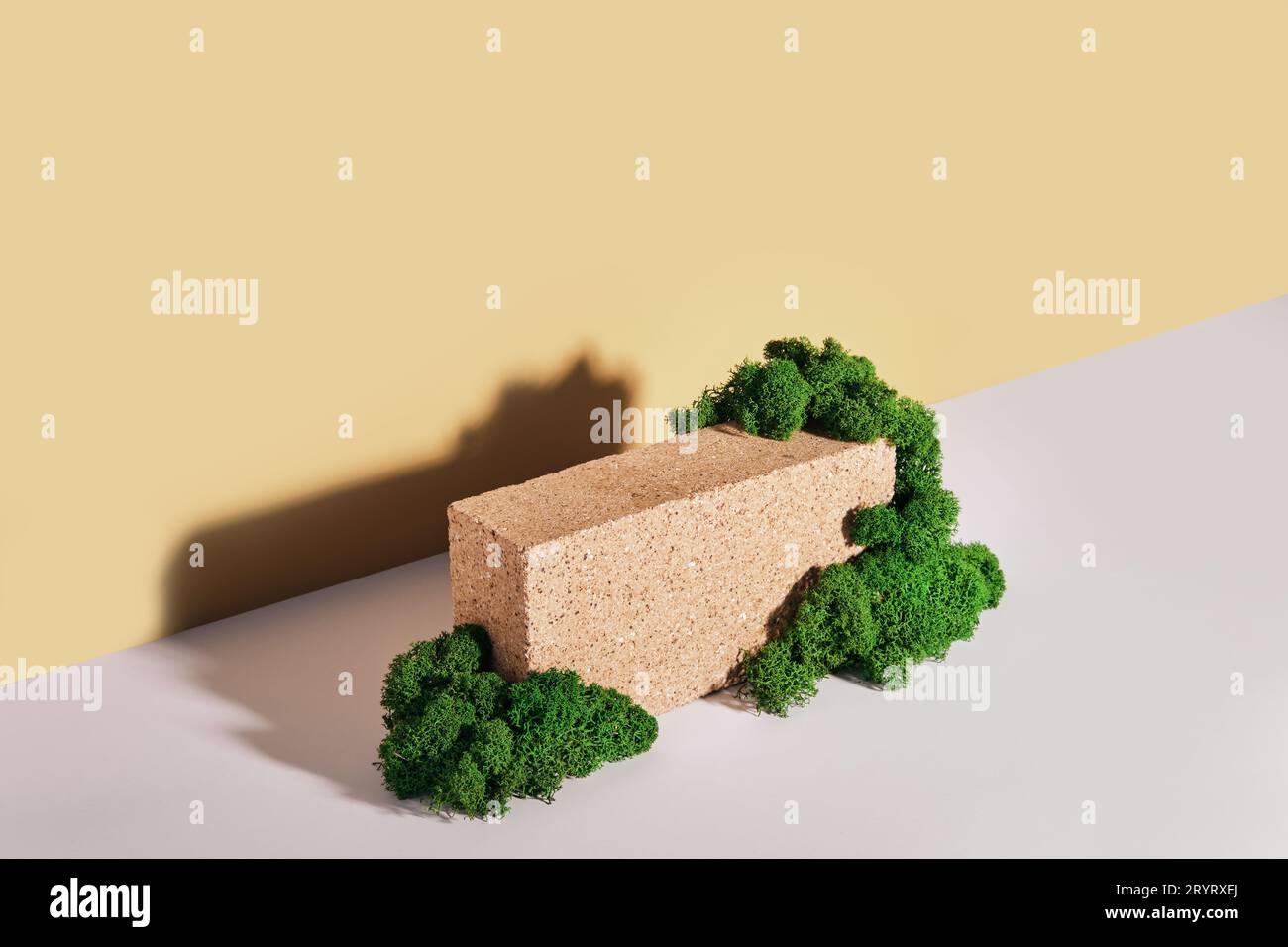 Podio mockup realizzato in Brick e muss per prodotti e accessori. Design biofilo, vista isometrica Foto Stock