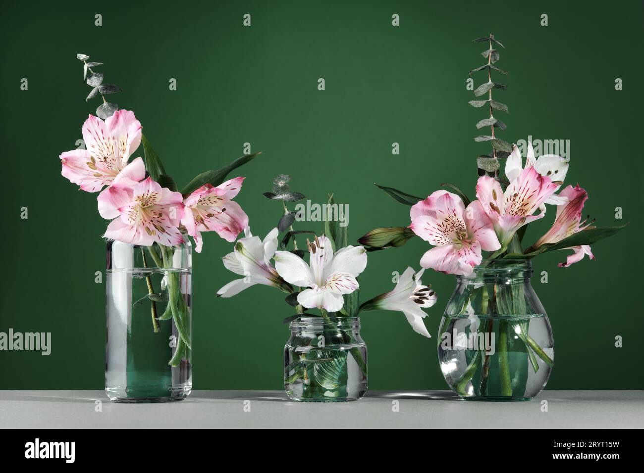 Bellissimi fiori bianchi e rosa in bottiglie di vetro su sfondo verde. Decorazioni floreali minimal per le feste, spazio fotocopie Foto Stock