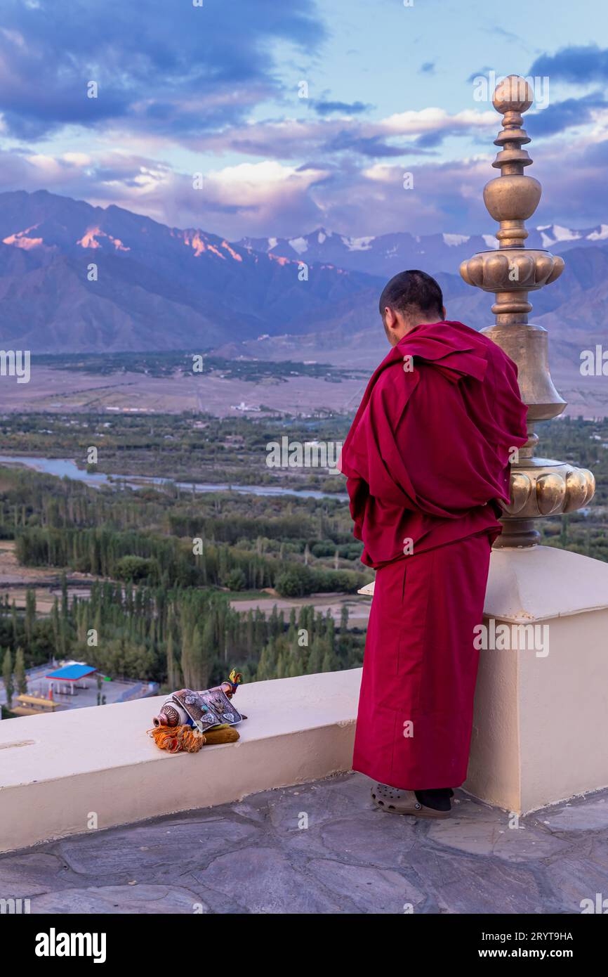 Monaco con una conchiglia che soffia nel monastero di Spituk (Gompa), Ladakh, India Foto Stock