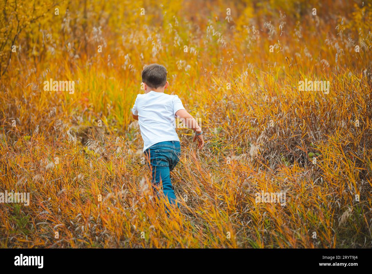 Un ragazzo che gioca nel Big Hills Springs Provincial Park in Alberta, Canada Foto Stock
