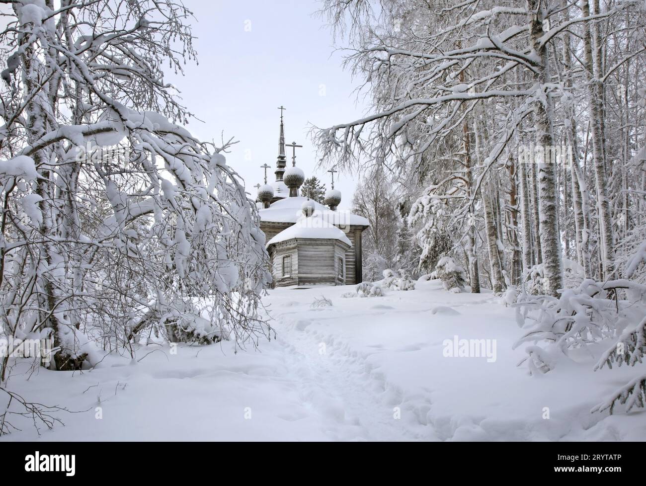 Chiesa di Sant Alessandro Svirsky Maselga al villaggio. Kargopol distretto. Arkhangelsk Oblast. La Russia Foto Stock