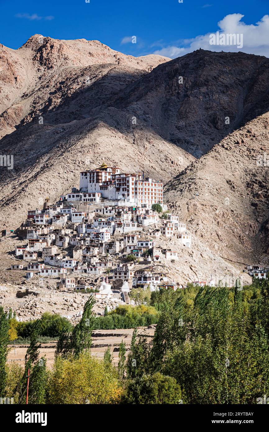 Chemrey gompa (monastero), Ladakh, India Foto Stock