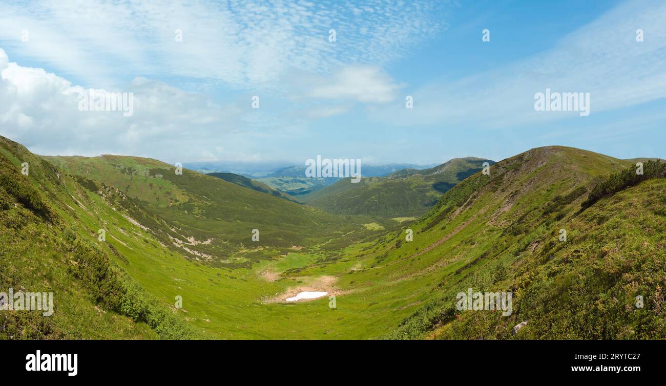 Vista panoramica sul prato estivo con foresta di ginepri e neve rimane sulla cresta in lontananza. Foto Stock