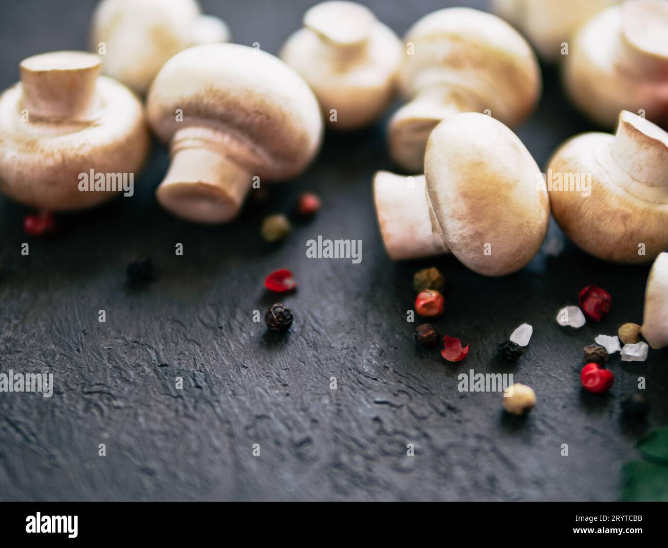 Mini champignon su sfondo nero, spazio copia Foto Stock