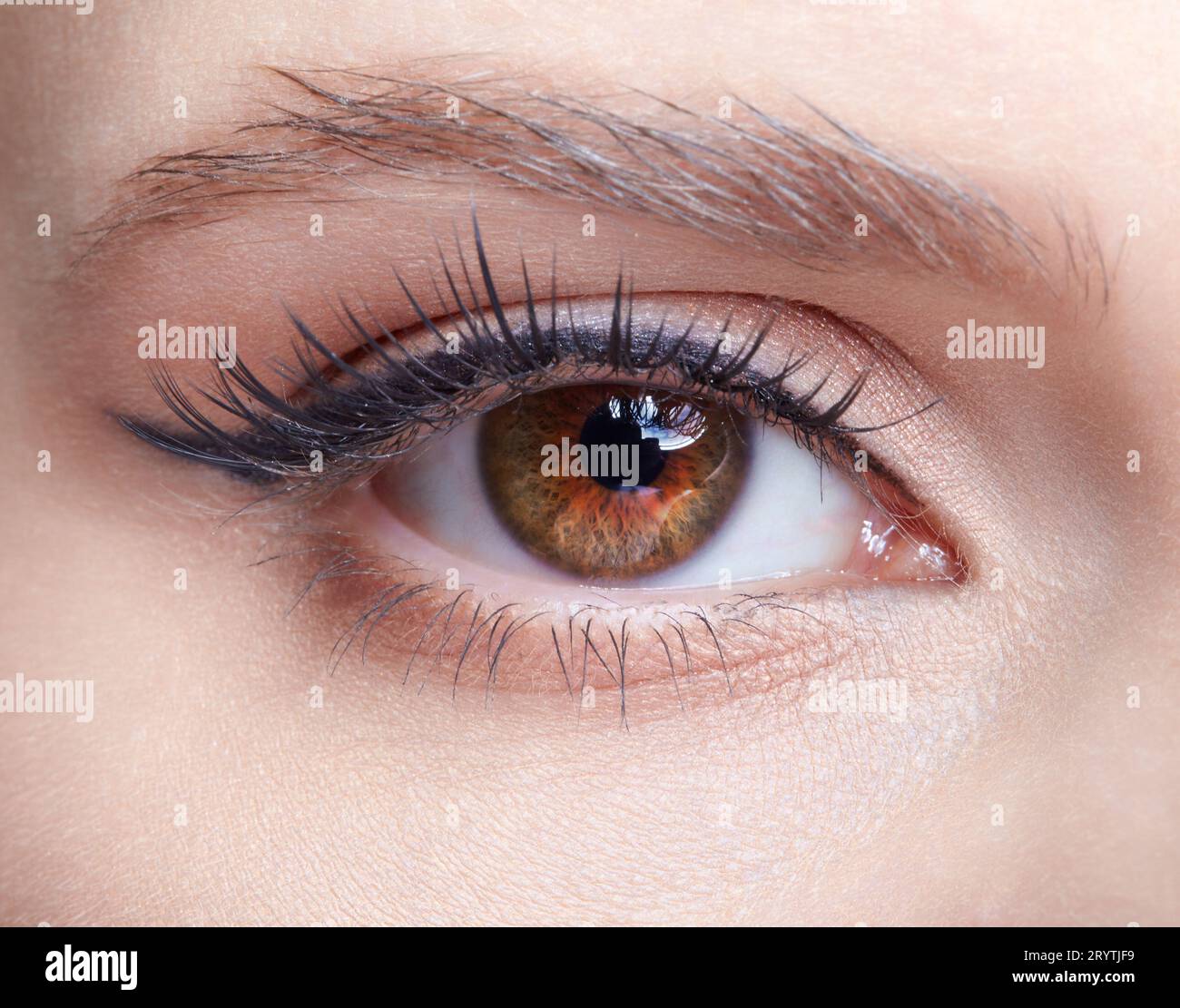 Primo piano macro dell'occhio umano femminile con ombre rosa chiaro Foto Stock