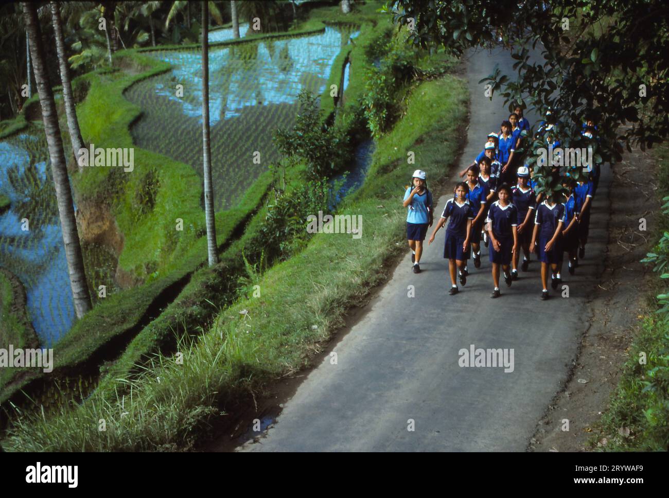 Un grande gruppo di studenti delle scuole superiori sta marciando lungo una strada sopra una valle di rie Paddies, vicino alla città di Tanganan sull'isola di Bali, Indone Foto Stock