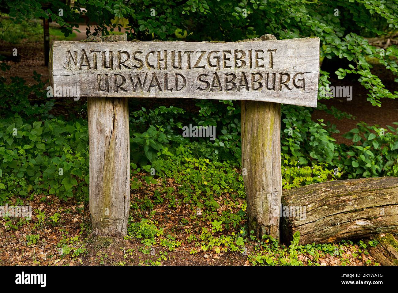 Cartello d'ingresso: Riserva naturale Urwald Sababurg, quartiere immobiliare di Reinhardswald, Assia, Germania, Europa Foto Stock