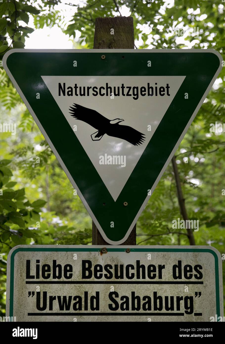 Insegna della riserva naturale nella foresta primordiale di Sababurg, nel distretto della tenuta di Reinhardswald, Assia, Germania Foto Stock