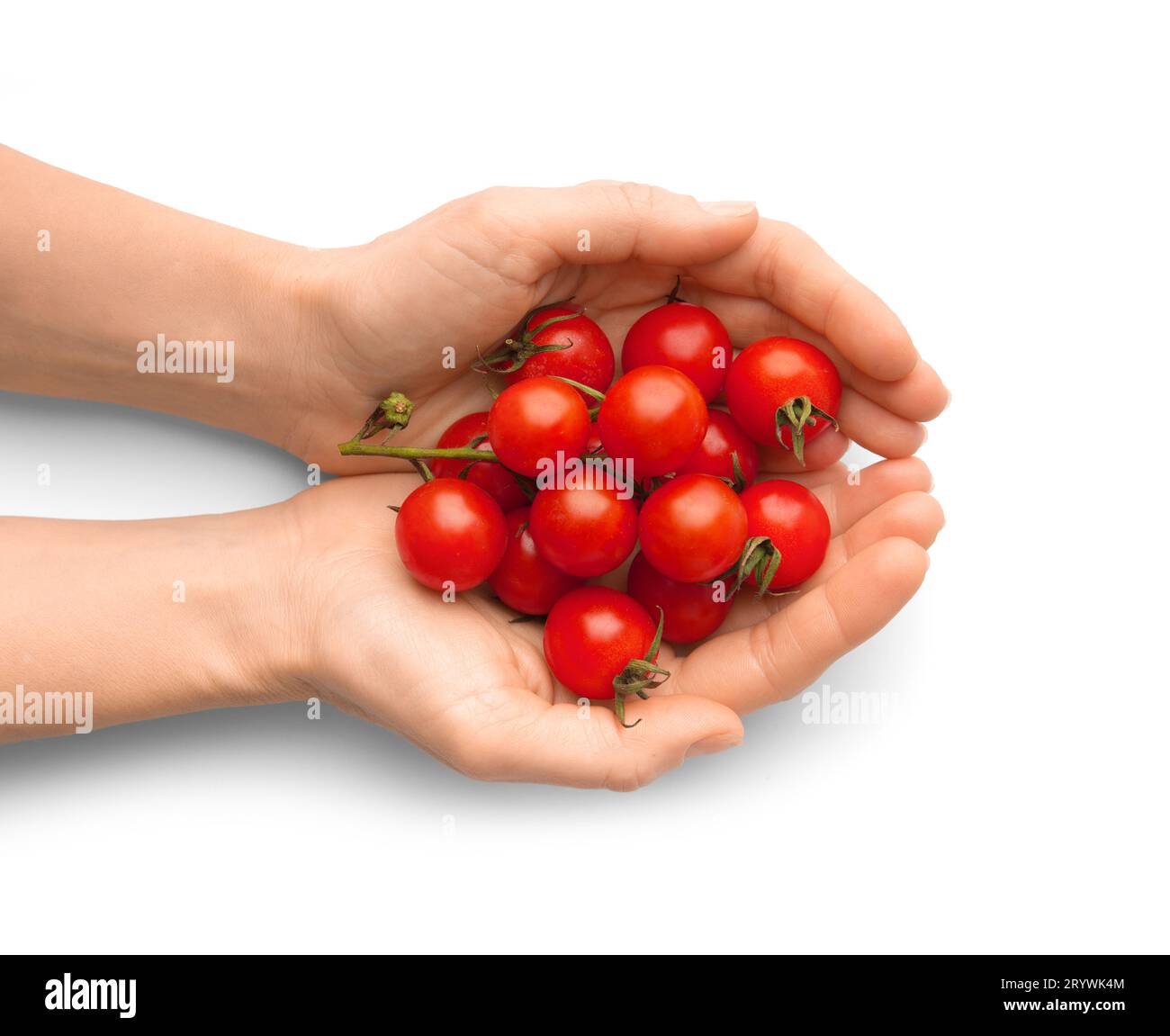 Mani femminili che tengono i pomodori ciliegini biologici nei palmi su sfondo bianco, vista dall'alto. Foto Stock
