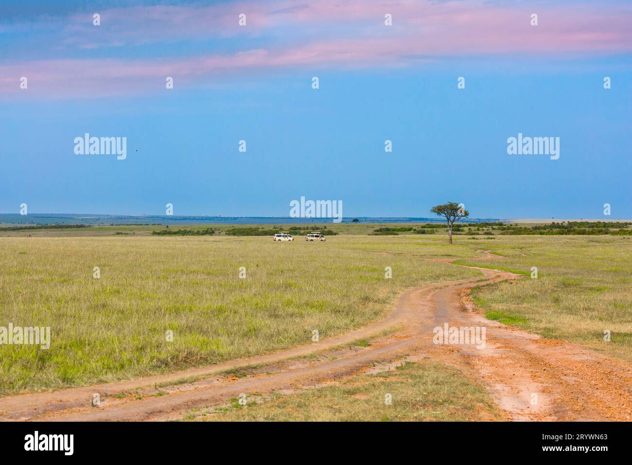 African savannah in primavera Foto Stock