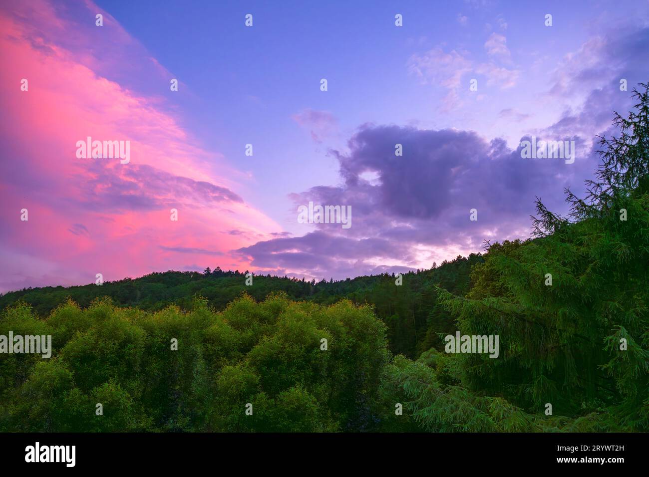 Viola, viola e blu tramonto sopra la foresta profonda. Foto Stock