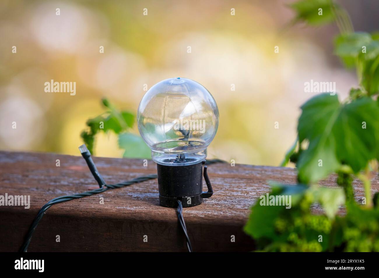 Fotografia di un piccolo globo di luce ornamentale sul ponte di legno vicino a una pianta di una casa residenziale Foto Stock