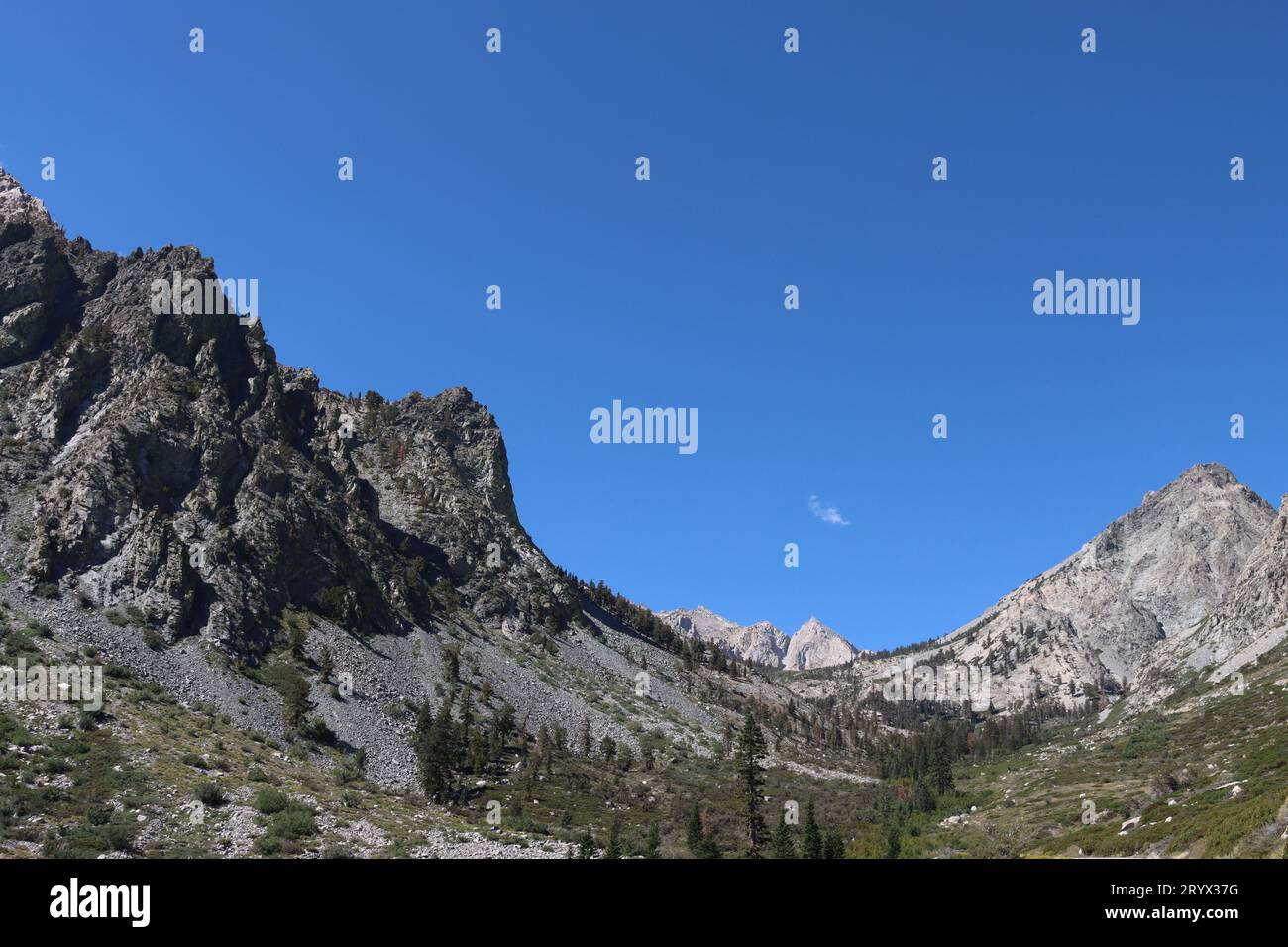 Risalendo la sierra nevada orientale in tarda estate si scopre una zona di transizione dalla foresta montana agli ecosistemi subalpini a circa 9000 metri. Foto Stock