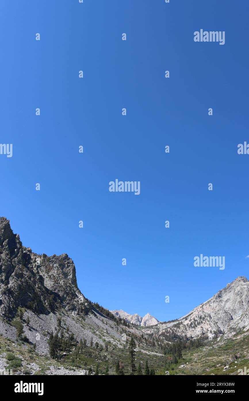 Risalendo la sierra nevada orientale in tarda estate si scopre una zona di transizione dalla foresta montana agli ecosistemi subalpini a circa 9000 metri. Foto Stock