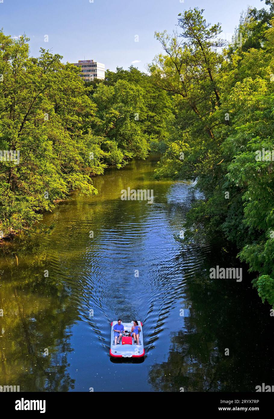 Coppia in pedalò sul fiume Lahn, Marburgo, Assia, Germania, Europa Foto Stock