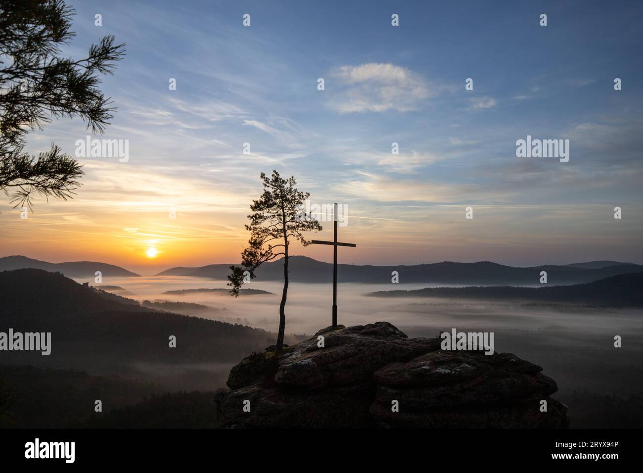 Luce mattutina nella Foresta Palatinata: Incantevole scenario naturale su una roccia nebbiosa Foto Stock