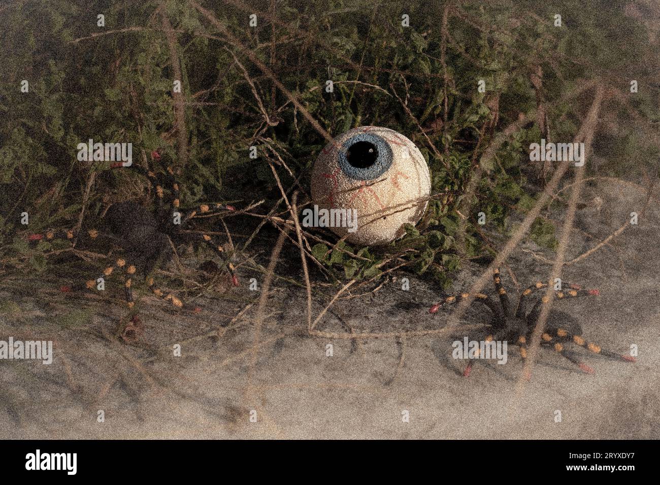 Inquietante scena di Halloween: Un occhio finto e due ragni finti nascosti nell'erba, creando un'atmosfera inquietante e festosa Foto Stock
