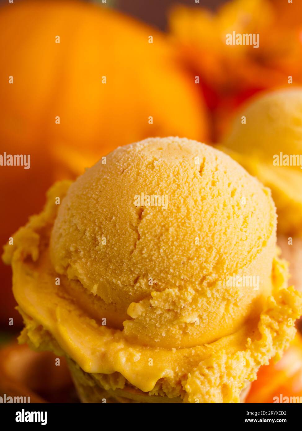 Gelato alla zucca Foto Stock