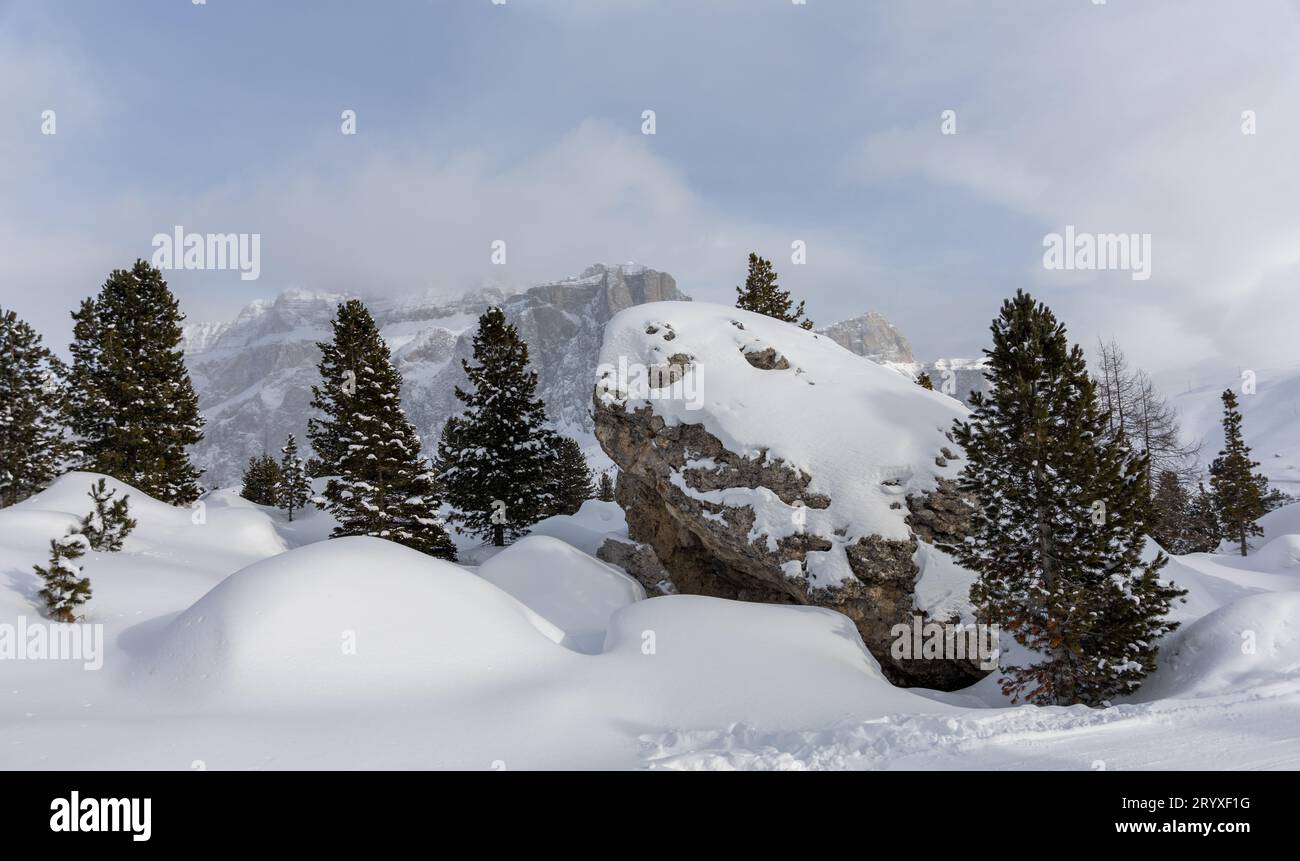 splendida vista invernale su pietre e alberi sotto la neve. Foto di alta qualità Foto Stock