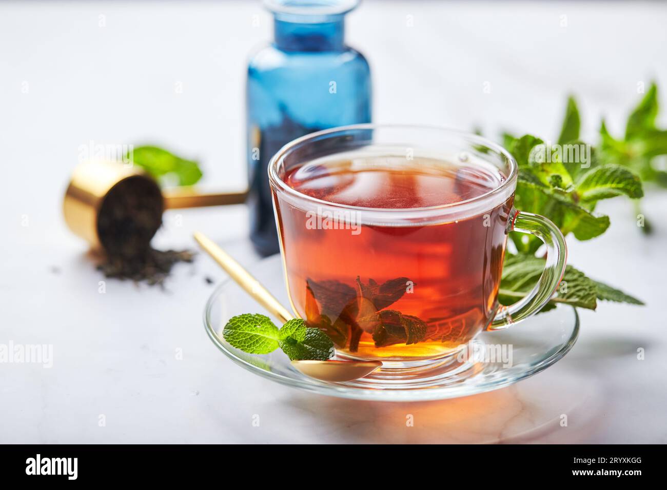 Tè nero in tazza trasparente di vetro con foglie di menta. Tè rilassante, anti-stress Foto Stock