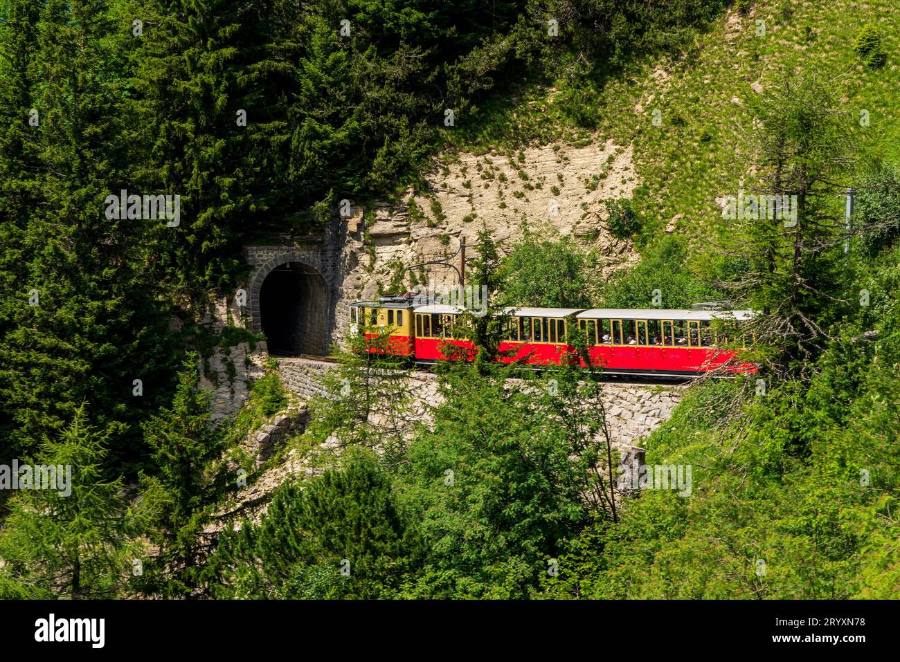 Treno sulla Schynige Platte sopra Interlaken in Svizzera. Foto Stock