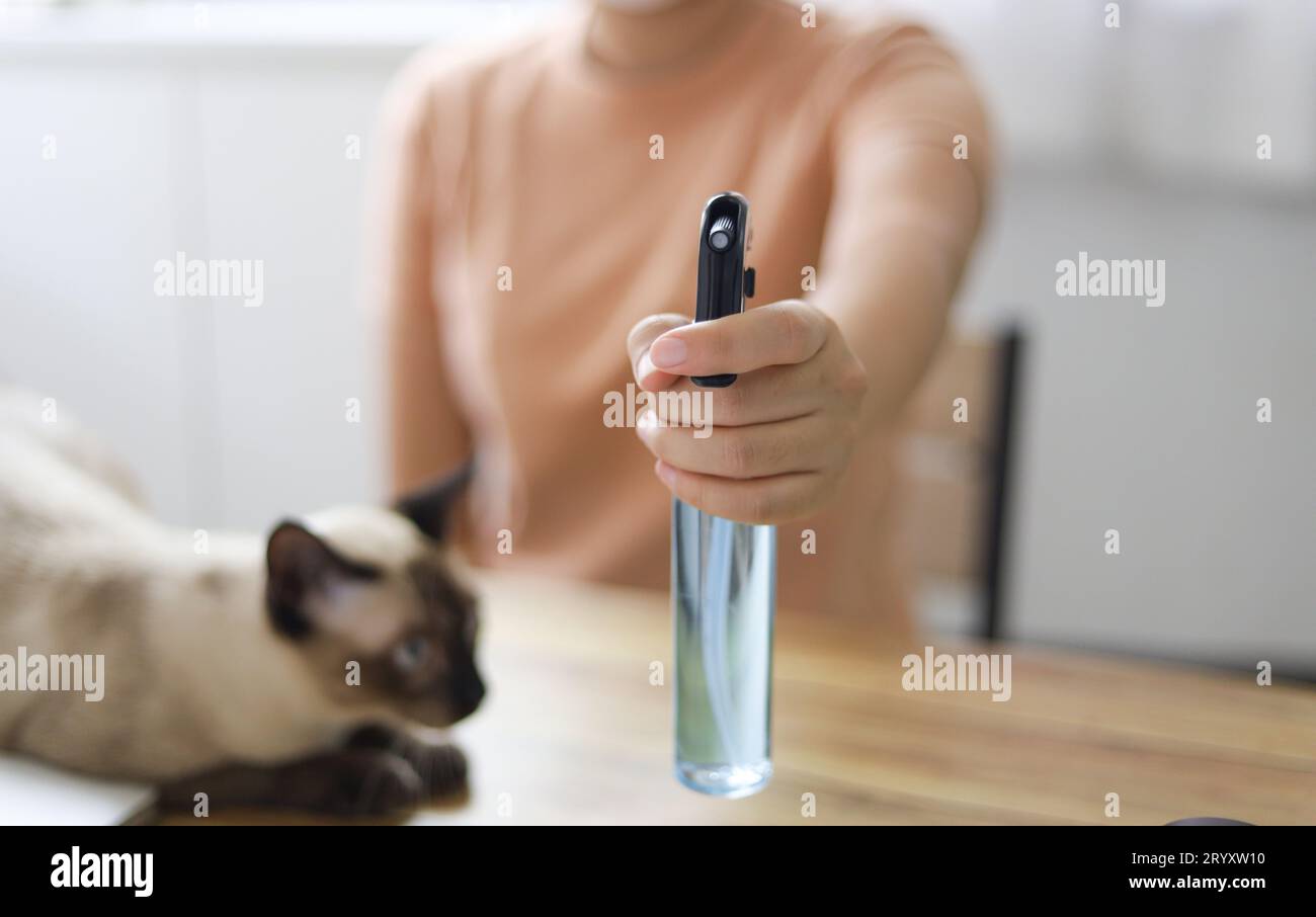 Donna spruzzare alcool disinfettante antibatterico disinfettante. Spray per prevenire il coronavirus o il Covid-19. Foto Stock