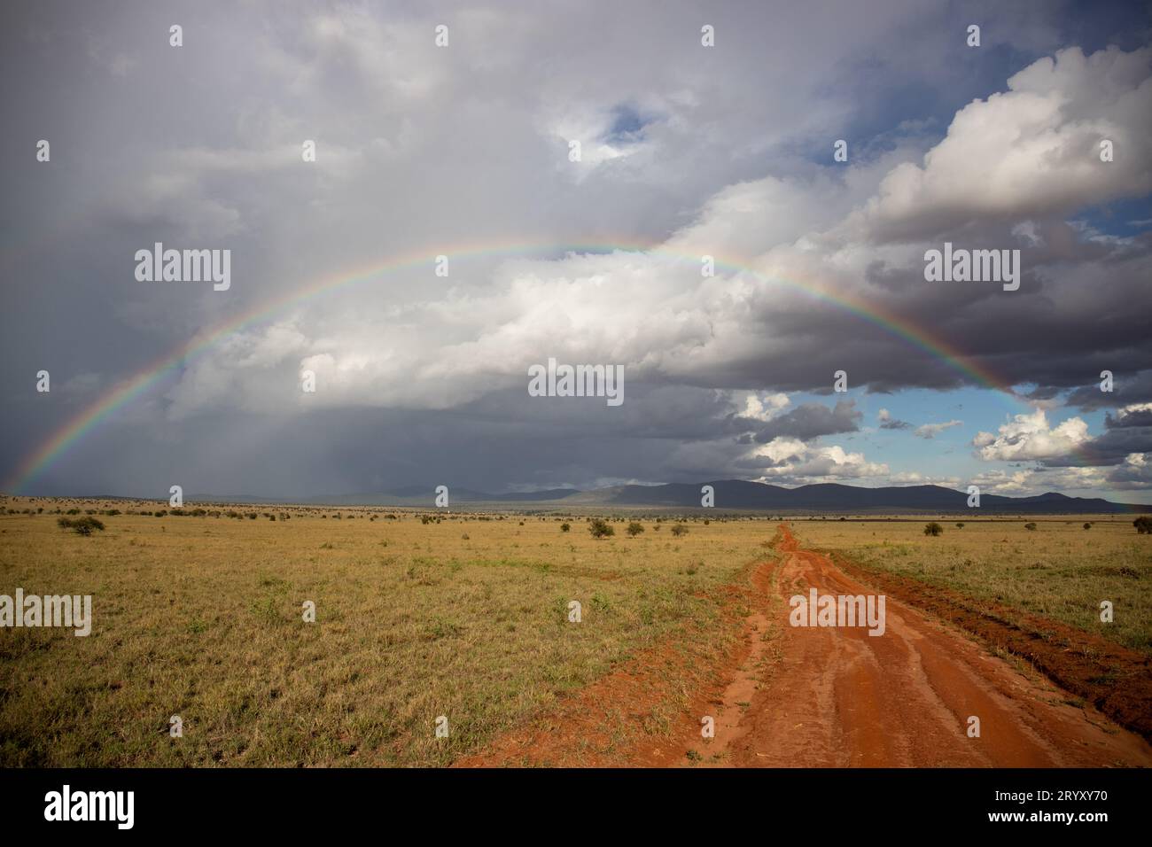 Meraviglie estese: Savana keniana con panorama arcobaleno Foto Stock