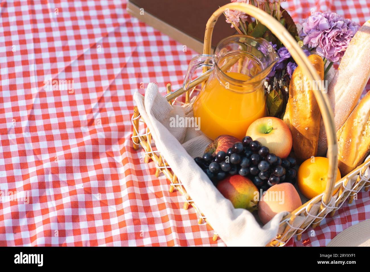 Pranzo al sacco, parco all'aperto con cestino per picnic. goditi un picnic nella natura del parco all'aperto Foto Stock